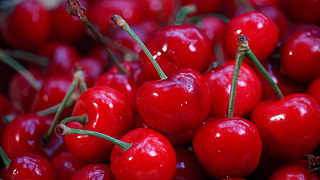 倾城佳话 产品图片