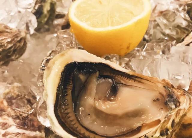 僵尸战士 相关产品