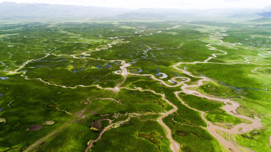 伯纳黛特你去了哪 相关产品