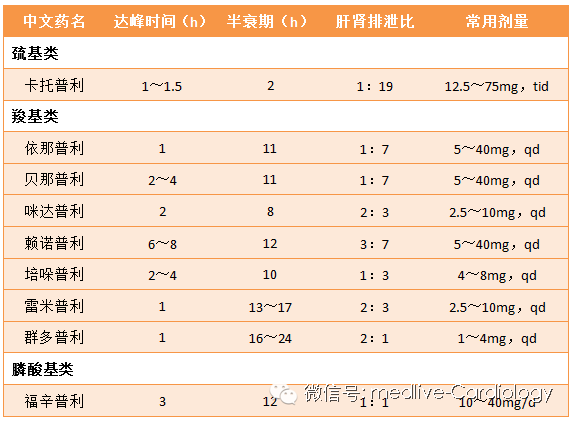 使徒保罗 相关产品