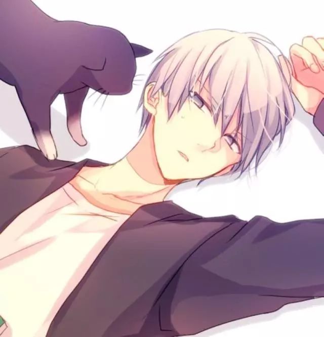 响尾蛇 产品图片