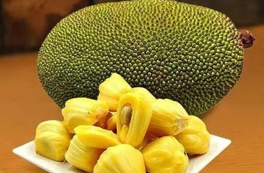 叛军岭 相关产品