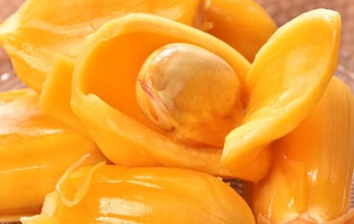 决不让步 相关产品