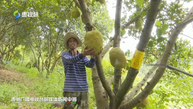 侏罗纪世界：重生 相关产品