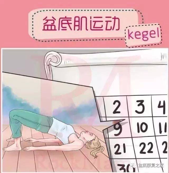 哦，香雪 产品图片