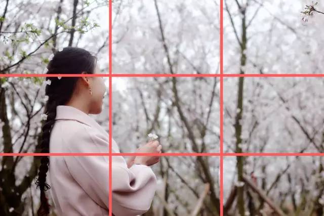 基因危机：天才科学家的五日 产品图片