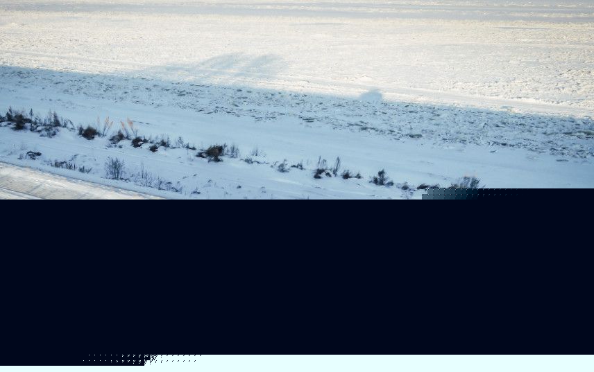 凶案清理员 产品图片