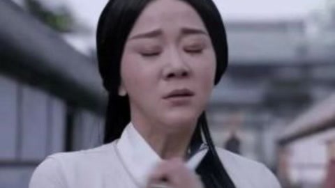 冒牌家庭 产品图片