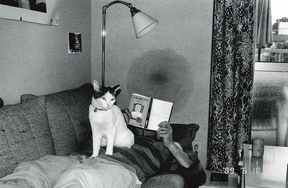 凡尔杜先生 产品图片