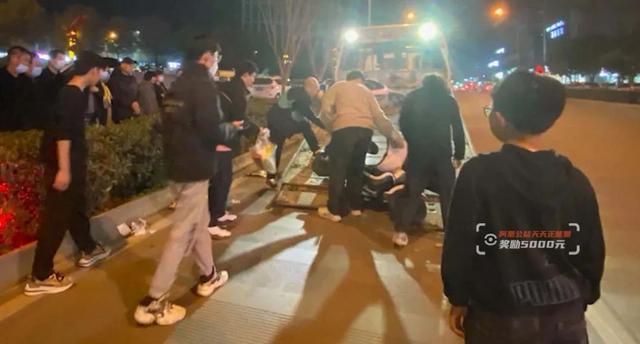 亲亲老爸 产品主图