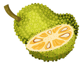 决战千王 推荐产品