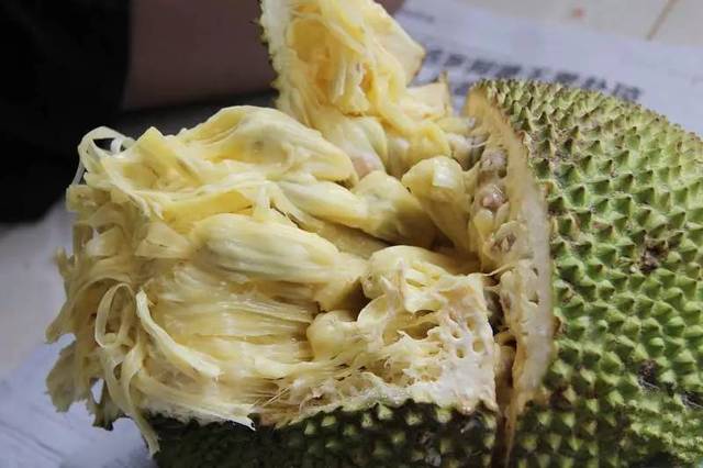 叶落情未了 产品图片