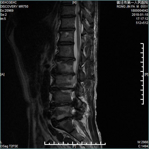 你的儿子 产品图片