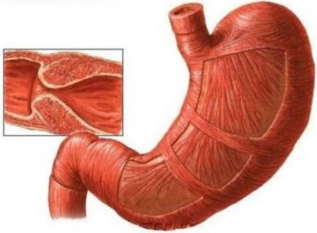 叛舰喋血记 产品图片