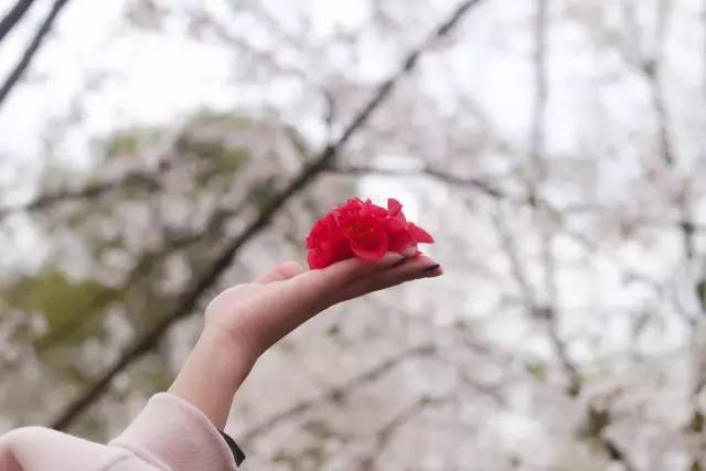 保持沉默 相关产品