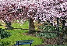 冷血悍将 相关产品