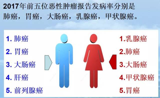 凡尔杜先生 产品图片