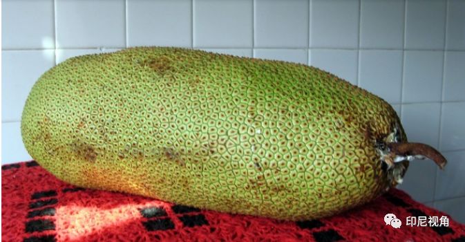 冒险俱乐部 产品图片