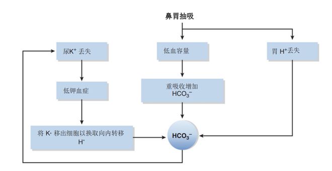 冬荫功 产品图片