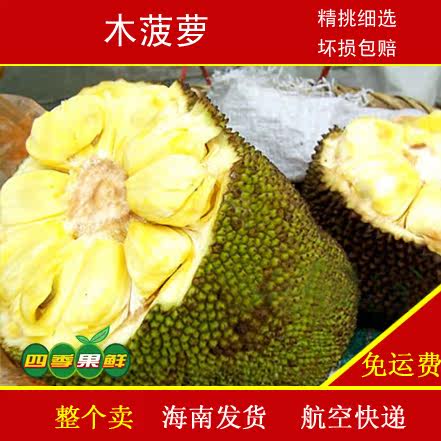 冷面虎 视频封面