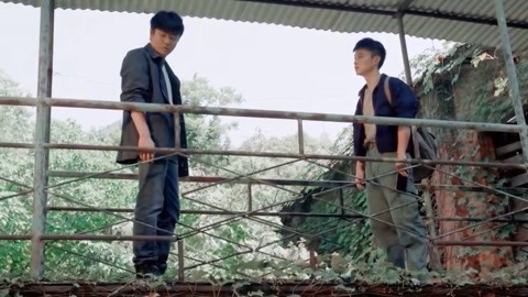 冰川鲨鱼 相关产品