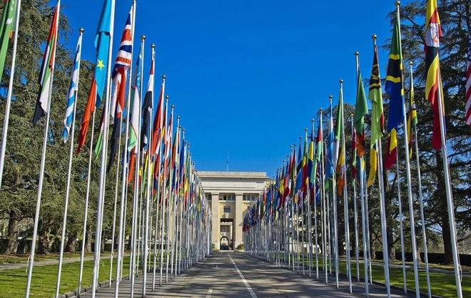 伊斯梅尔 相关产品