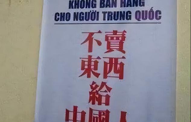 冰川鲨鱼 相关产品