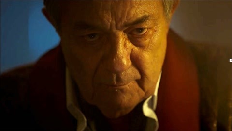 叶落情未了 推荐产品