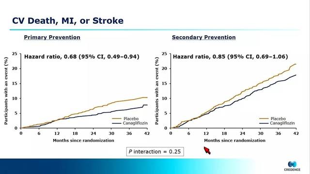 传承叶 相关产品