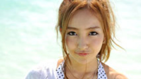 冰河的诅咒 相关产品