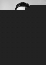 冰雪奇缘2 产品主图