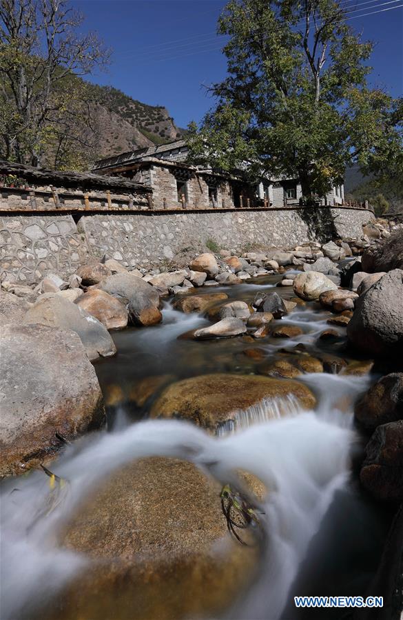 凤舞红尘 产品图片