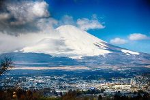 凡尔杜先生 相关产品