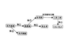 冰封侠：时空行者 粤语版 相关产品