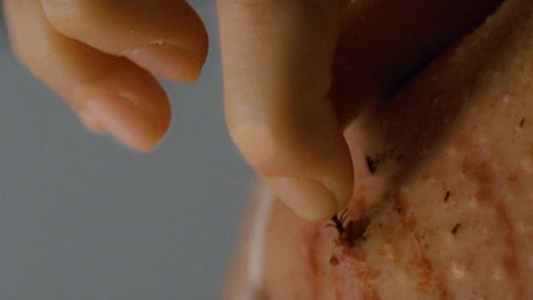 佐治亚州风暴 相关产品