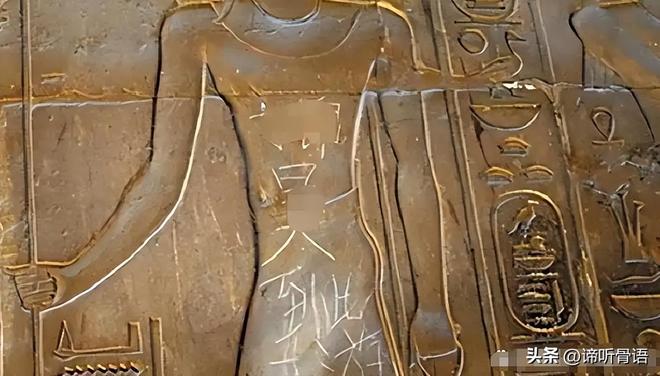 冷面虎 相关产品