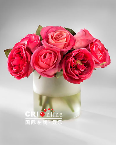 复仇者 产品图片