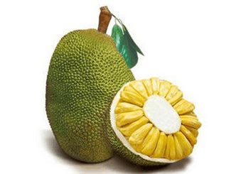 伯纳黛特你去了哪 产品图片