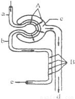 你在哪 相关产品