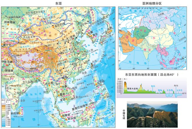 兄弟大作战之我的女友叫静香 相关产品