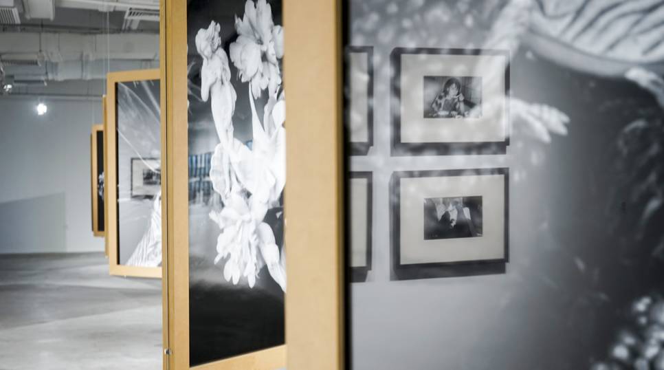 伸冤人 相关产品