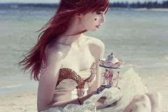 冬天没有童话 产品图片