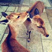 地球淹没之惊涛大历险（国语版）下