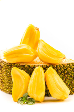 僵尸叔叔 相关产品