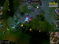 你的鸟儿会唱歌 相关产品