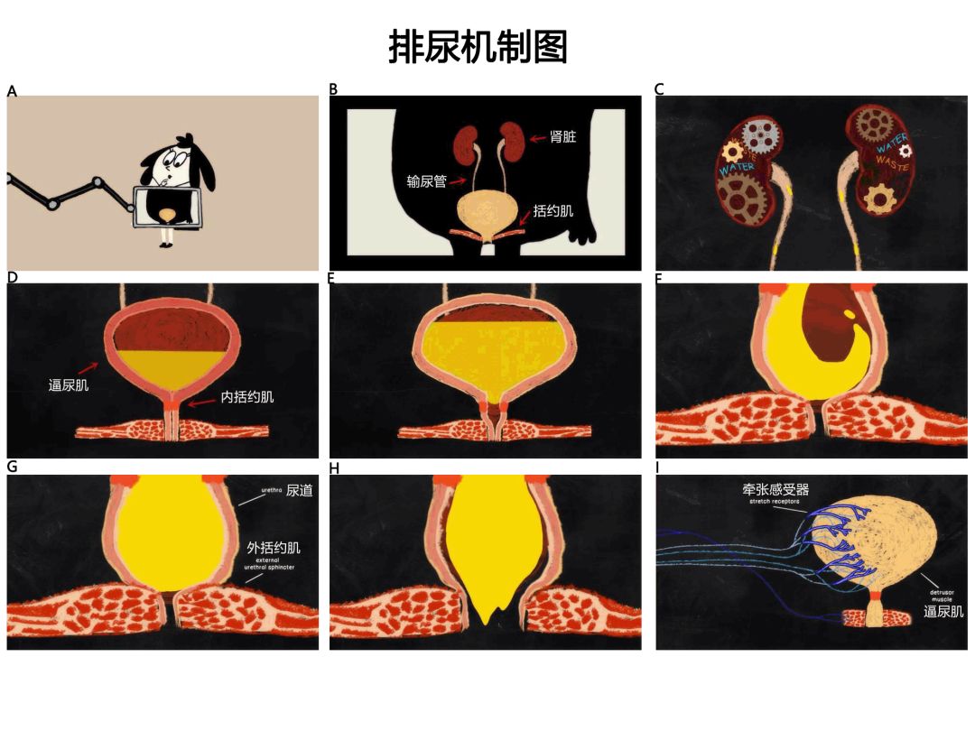 冬荫功 相关产品