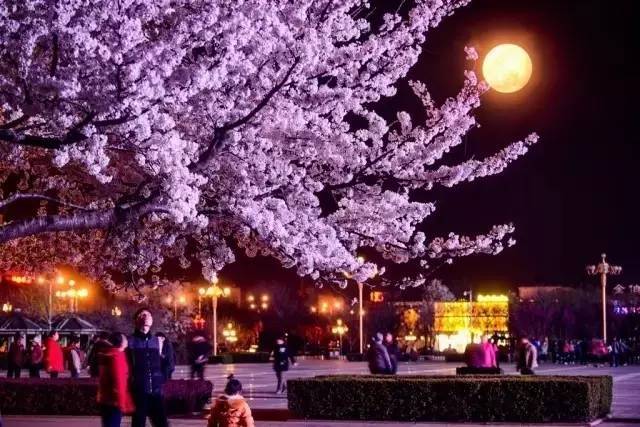 傲慢与偏见 原声版 相关产品