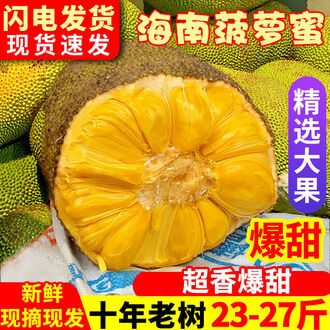 倒数救援战 相关产品