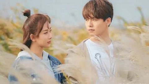 叛军岭 推荐产品