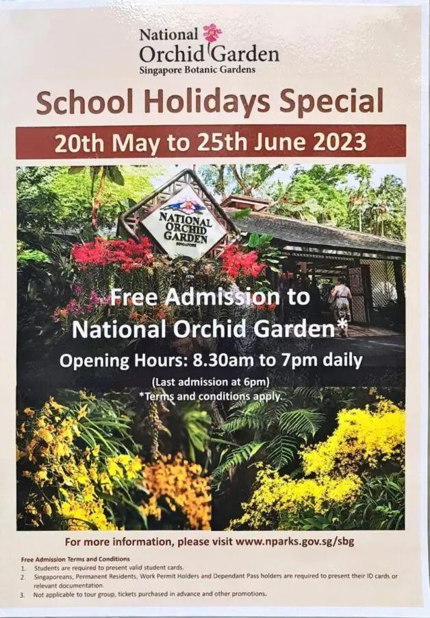 你的老鼠朋友 推荐产品